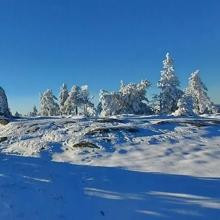 Lykkehjem In Amli Appartamento Gjerstad (Aust-Agder, Gjerstad)