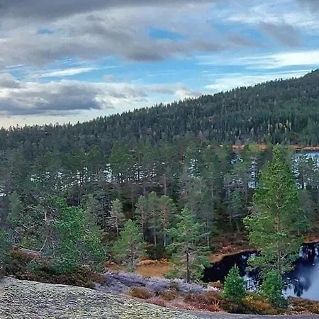 Lykkehjem In Amli * Gjerstad (Aust-Agder, Gjerstad)